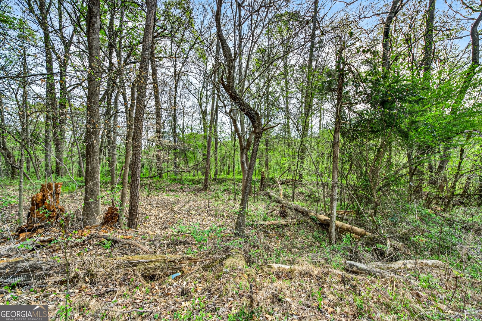 1071 Louden Ridge Road Alto - Photo 66