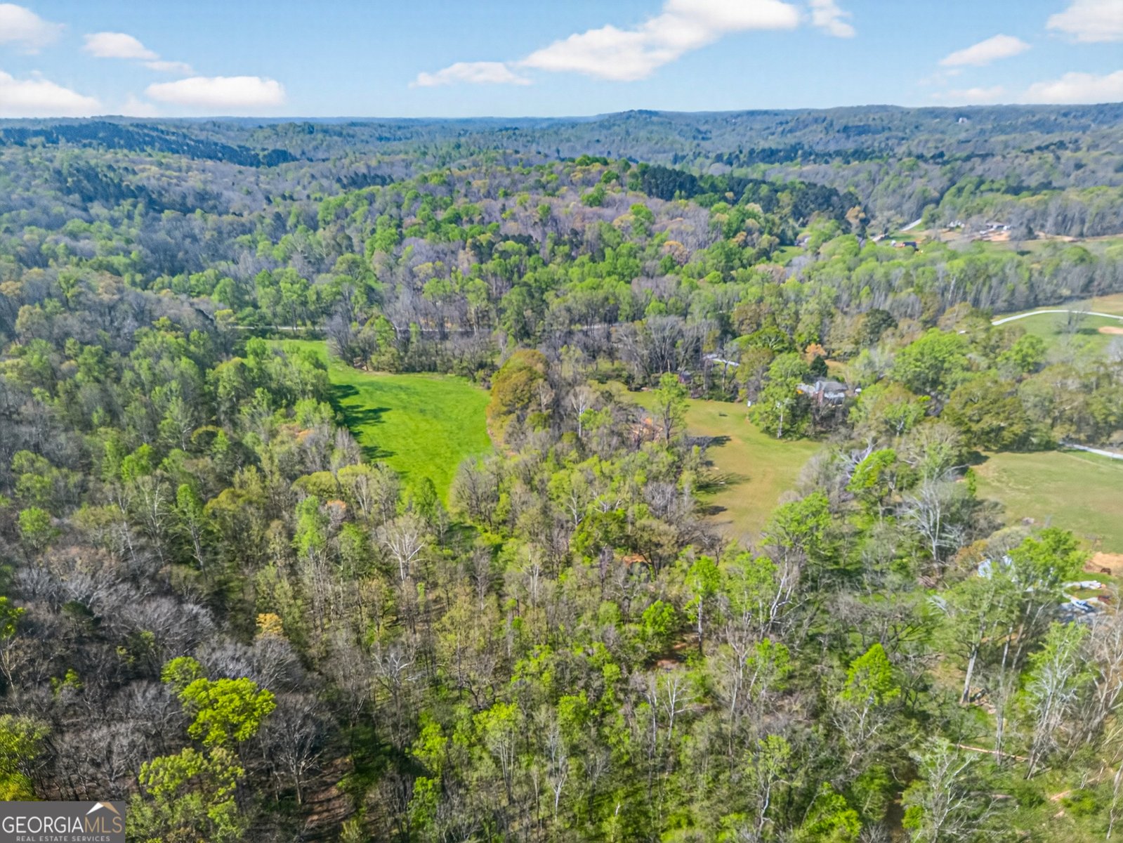 1071 Louden Ridge Road Alto - Photo 69