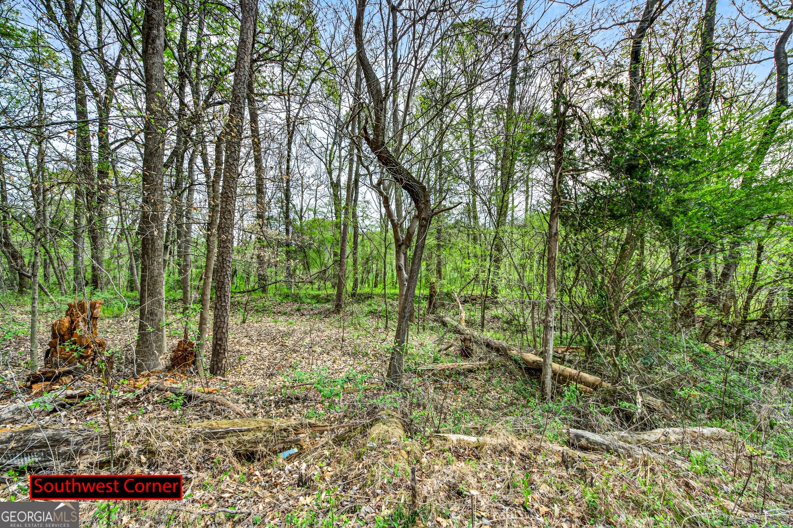 1071 Louden Ridge Road Alto - Photo 70