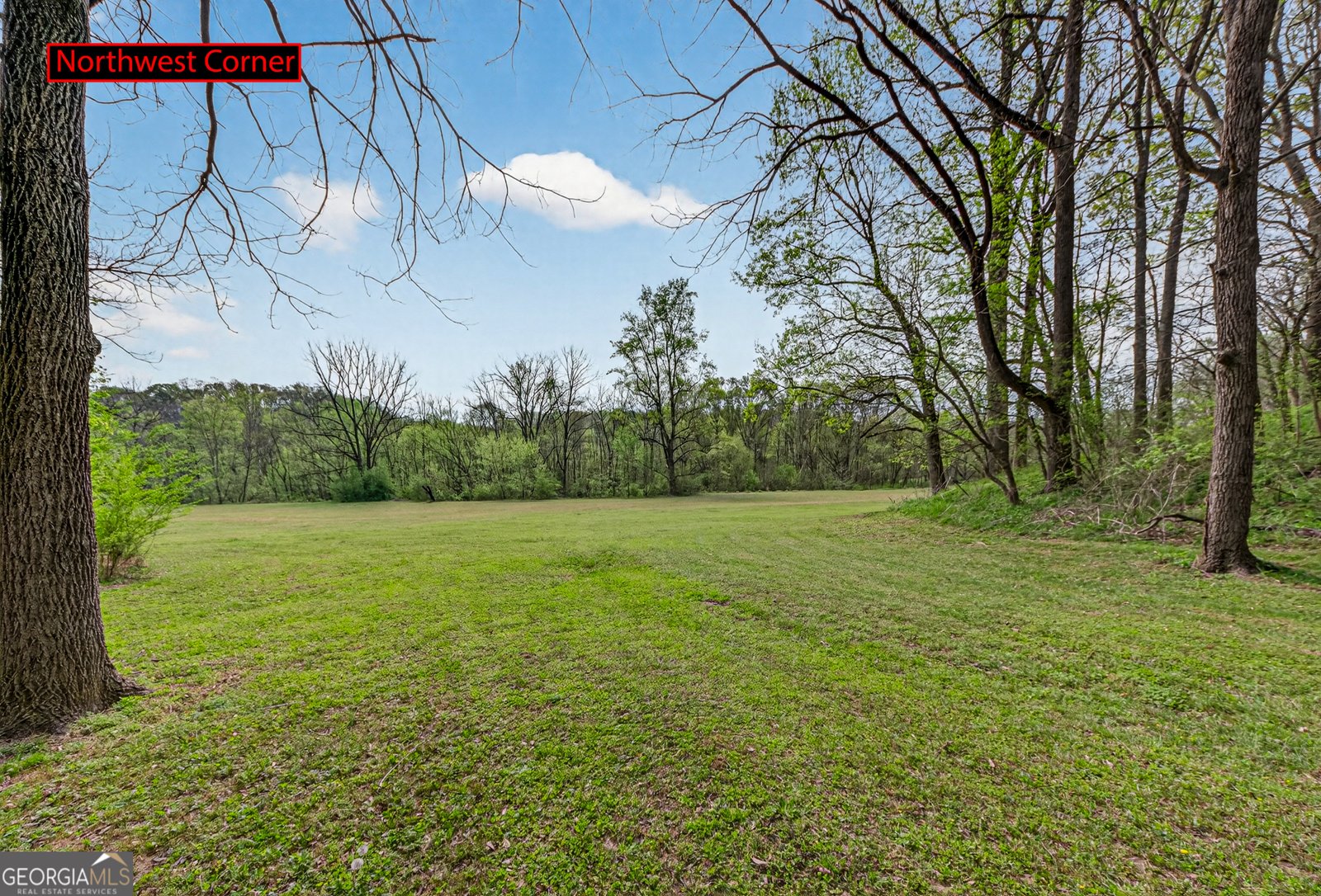 1071 Louden Ridge Road Alto - Photo 72