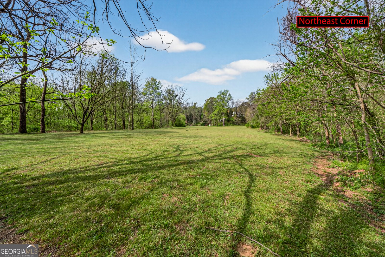 1071 Louden Ridge Road Alto - Photo 76