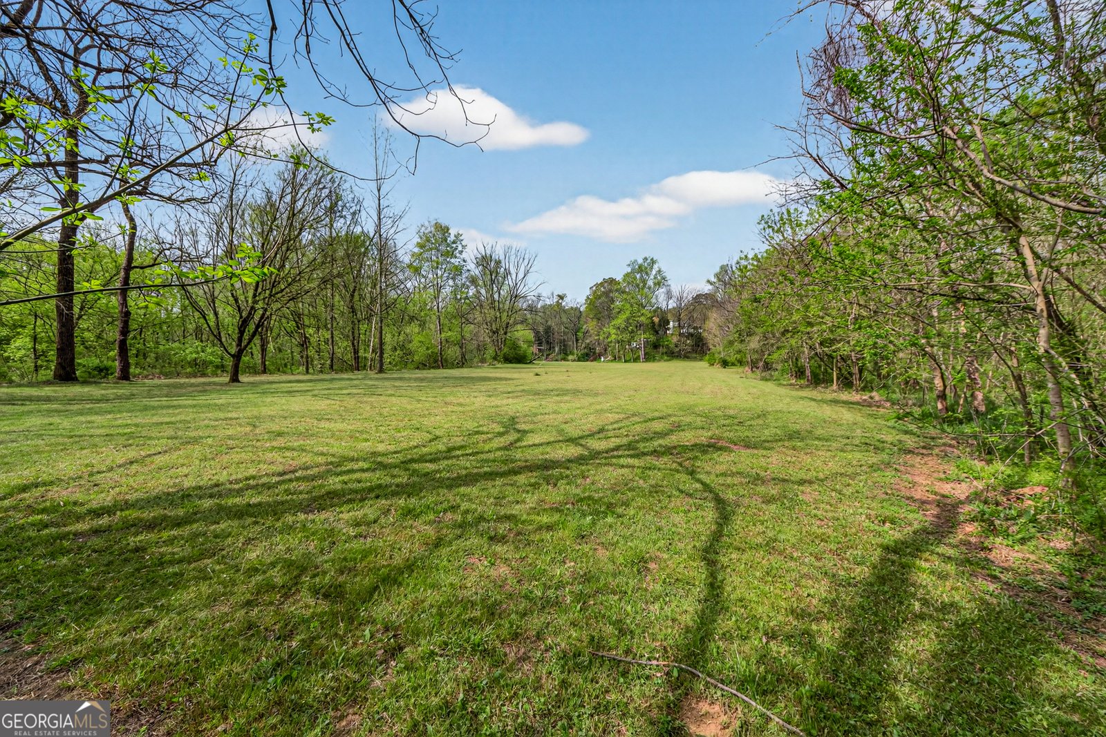 1071 Louden Ridge Road Alto - Photo 77