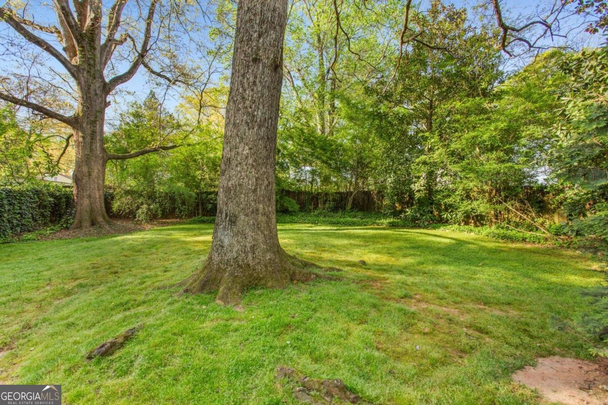 2529 Amelia Avenue Decatur - Photo 33