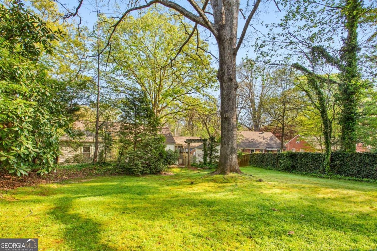 2529 Amelia Avenue Decatur - Photo 35