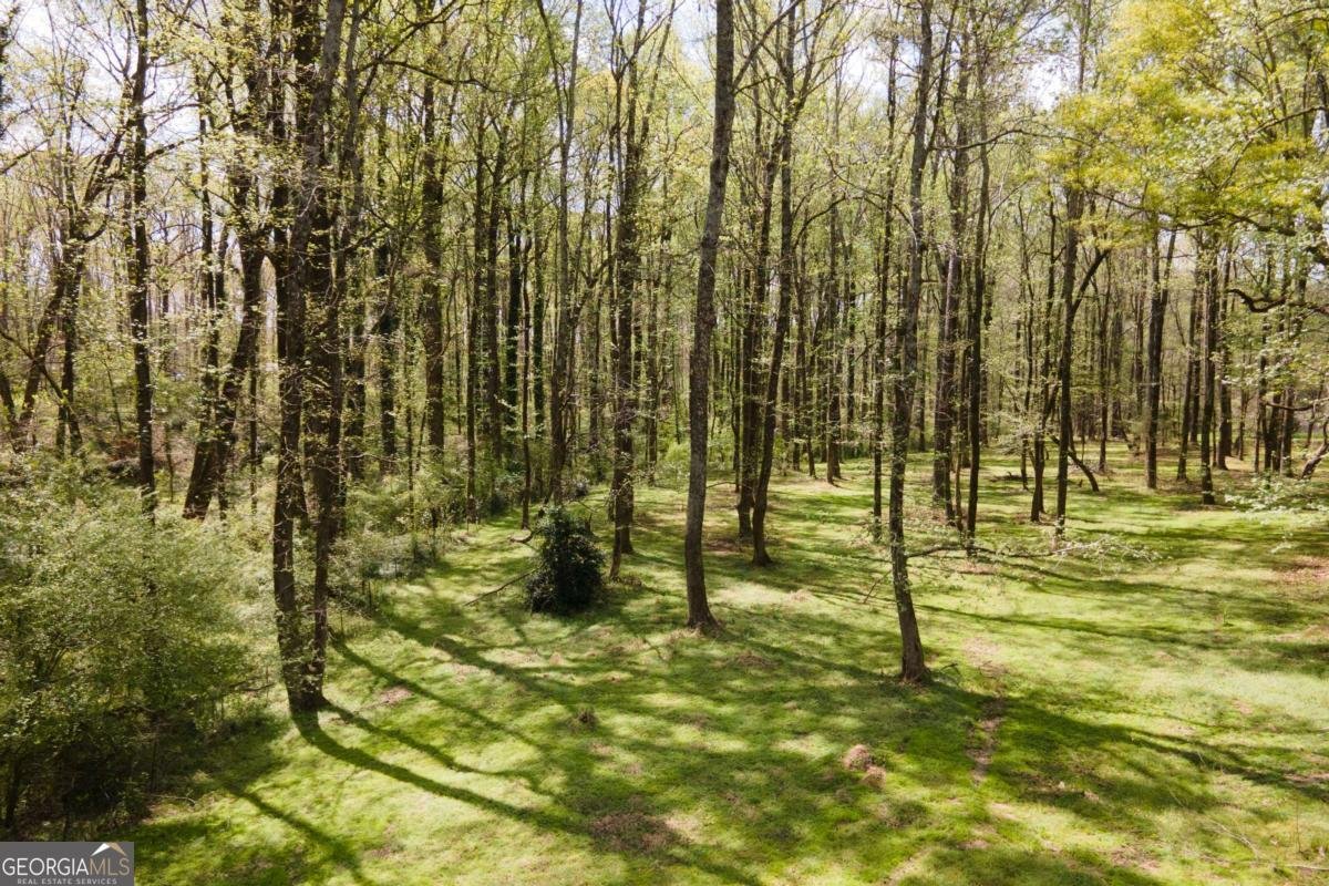 2866 Booger Hill Road Danielsville - Photo 66