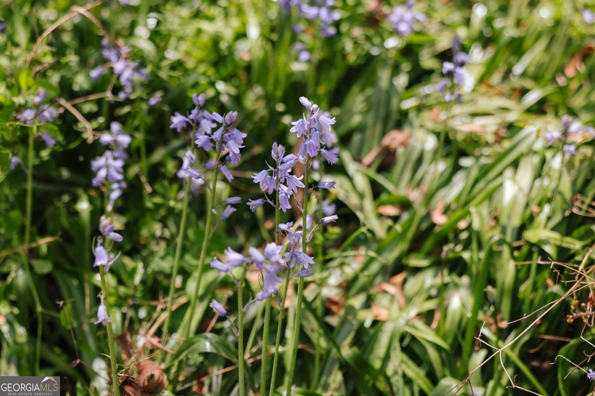 2866 Booger Hill Road Danielsville - Photo 67