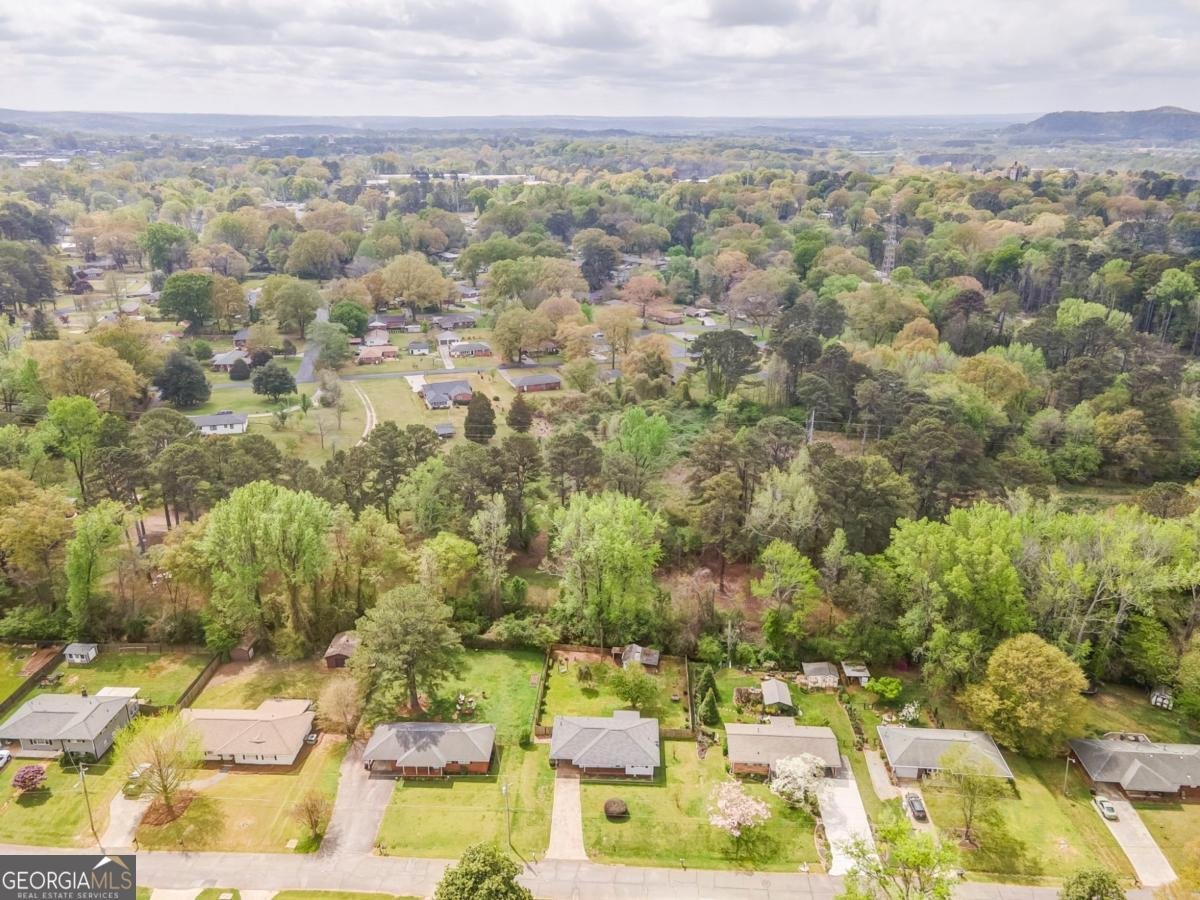 114 Davis Drive Cartersville - Photo 40