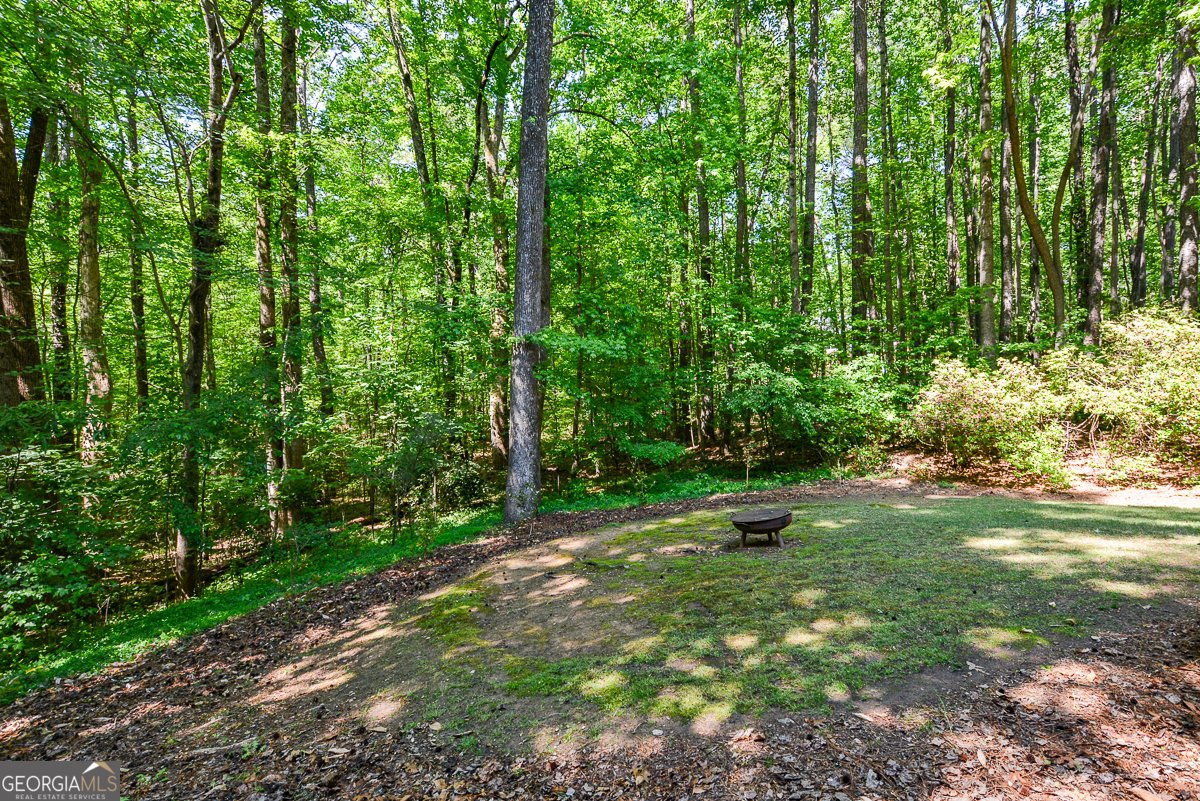 4299 Windham Court Douglasville - Photo 53