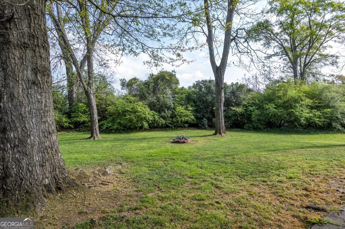 133 Indian Springs Drive Forsyth - Photo 28