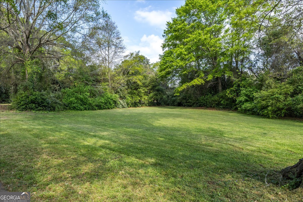 133 Indian Springs Drive Forsyth - Photo 29