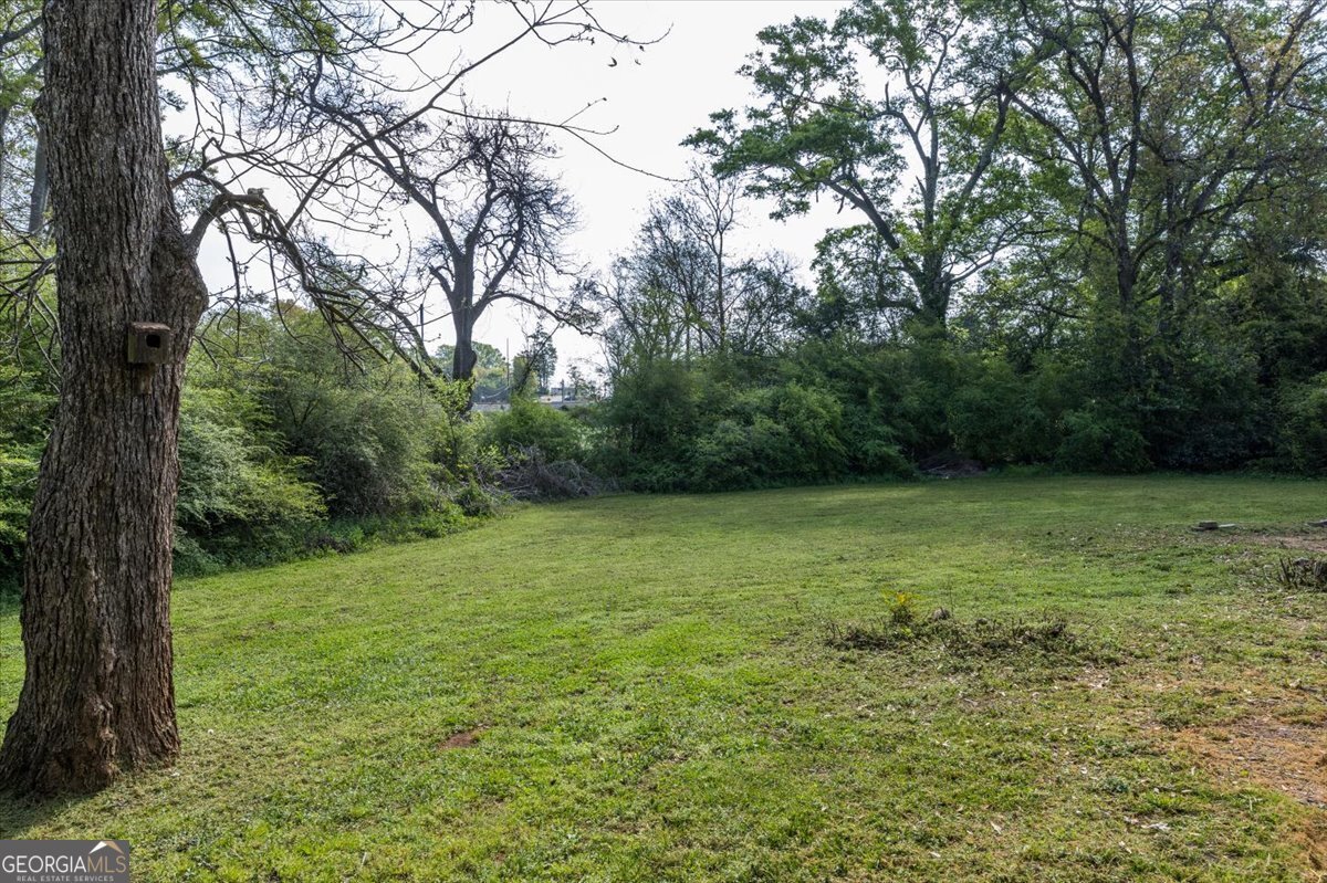 133 Indian Springs Drive Forsyth - Photo 30