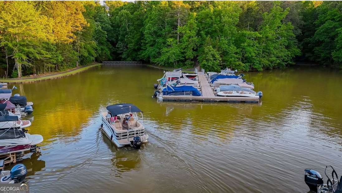 11 Rivercourt Lane Dawsonville - Photo 95