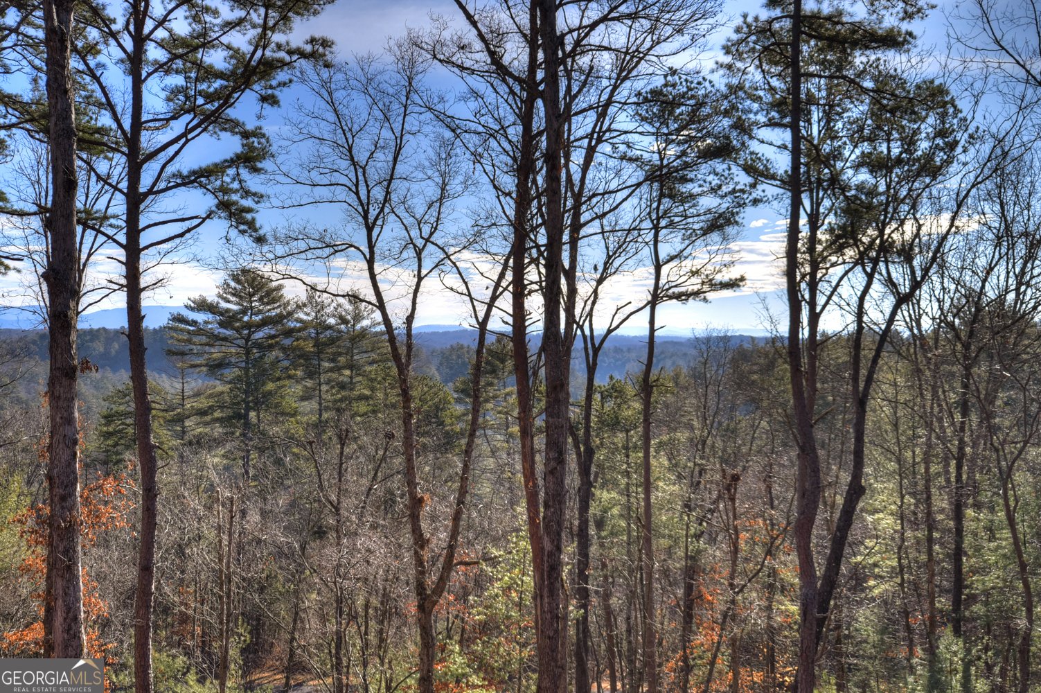 142 Red Oak Trail Ellijay - Photo 37