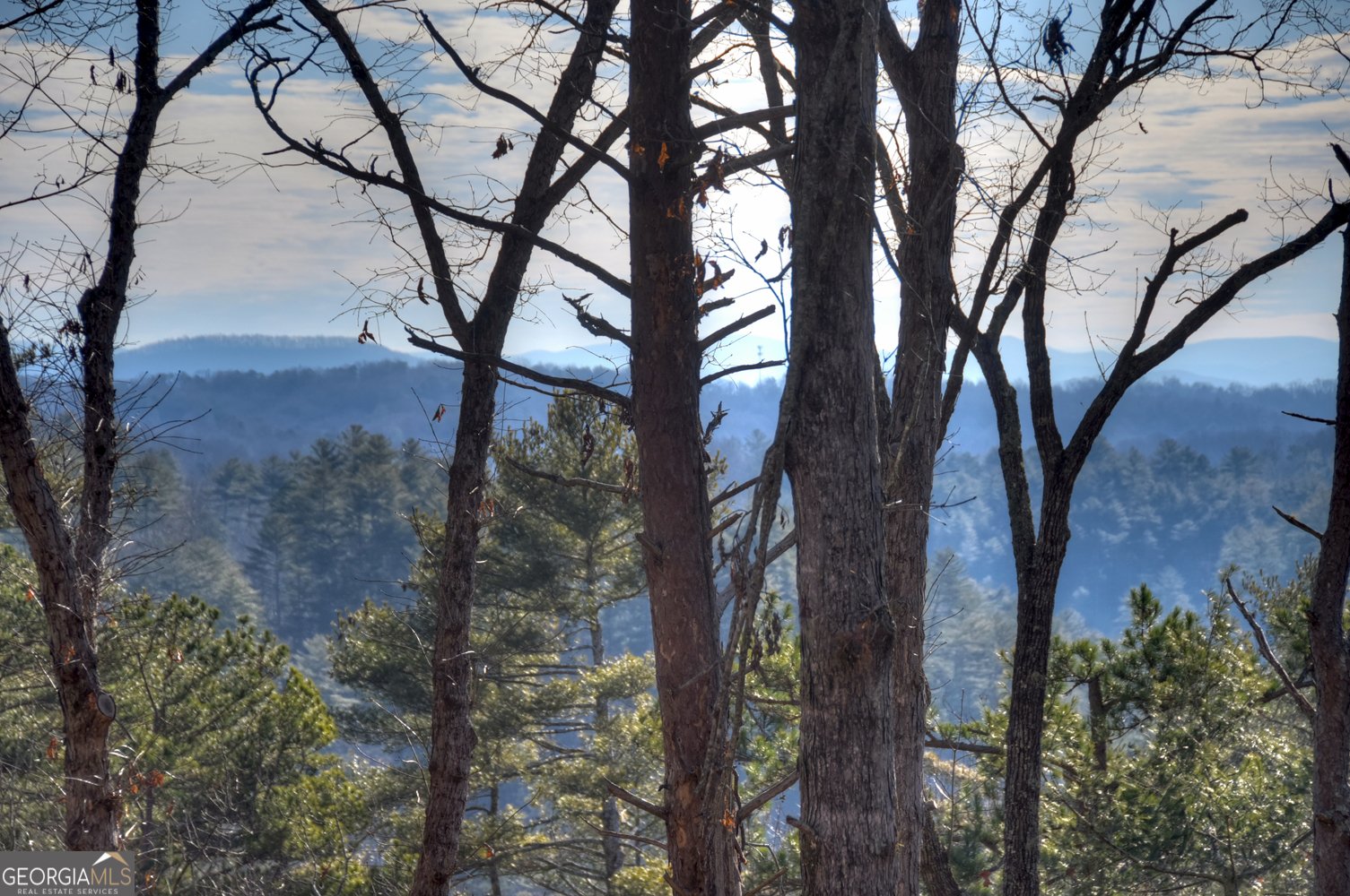 142 Red Oak Trail Ellijay - Photo 43