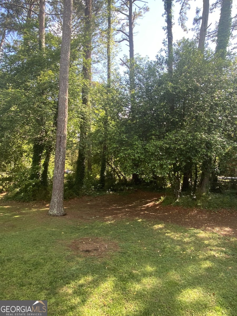 8783 Homewood Court Riverdale - Photo 30