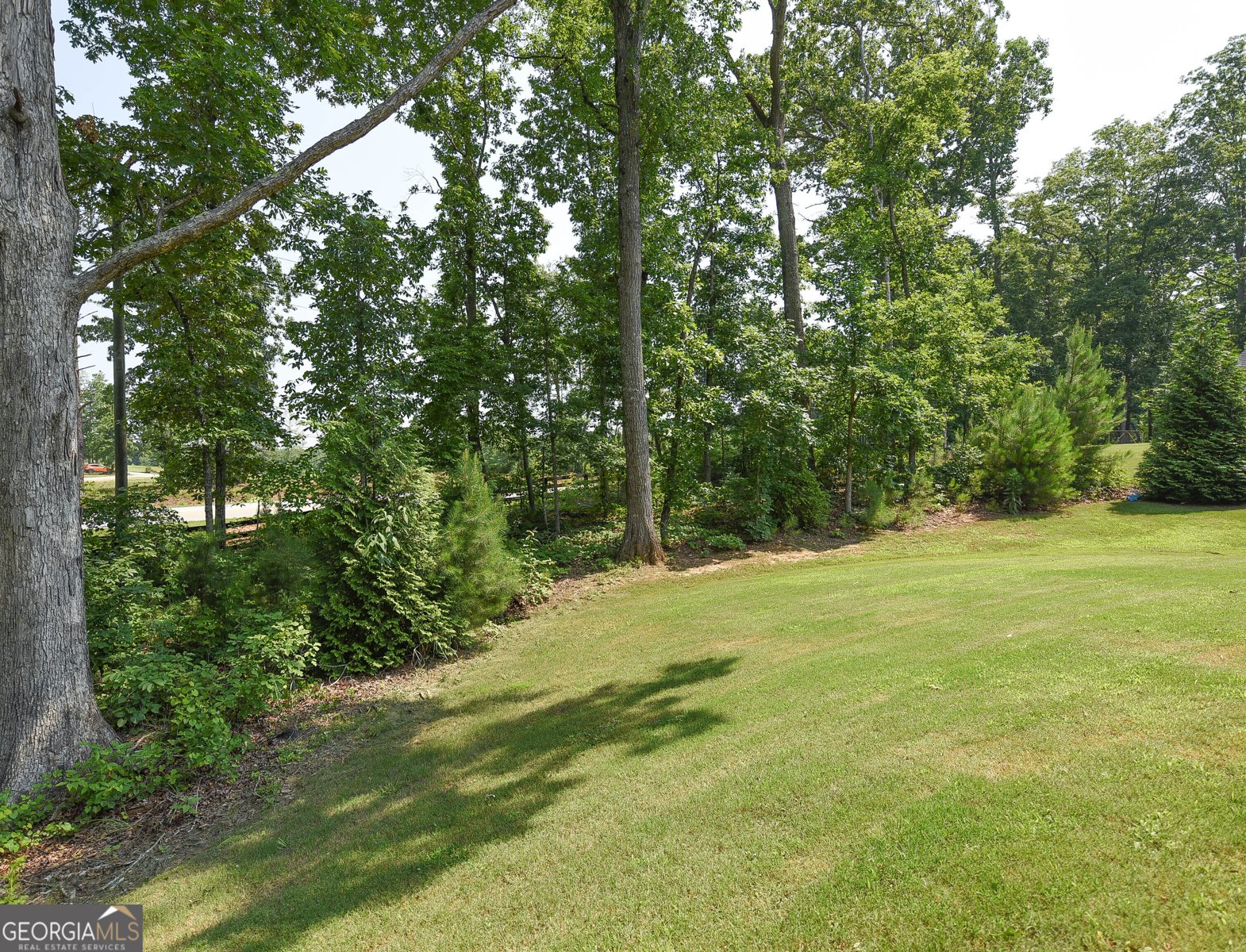 16 Anchor Court Newnan - Photo 21