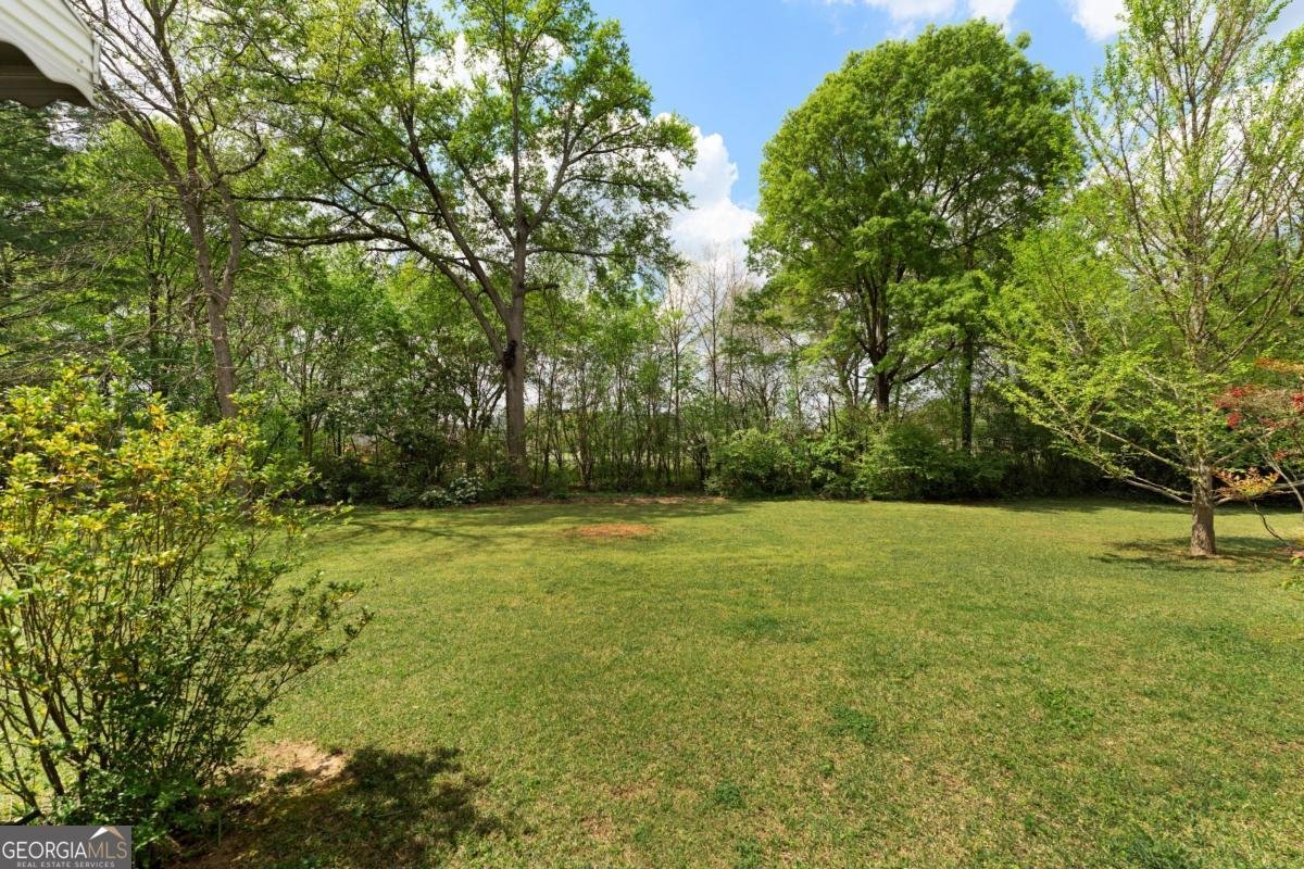 142 Plymouth Drive Cartersville - Photo 44