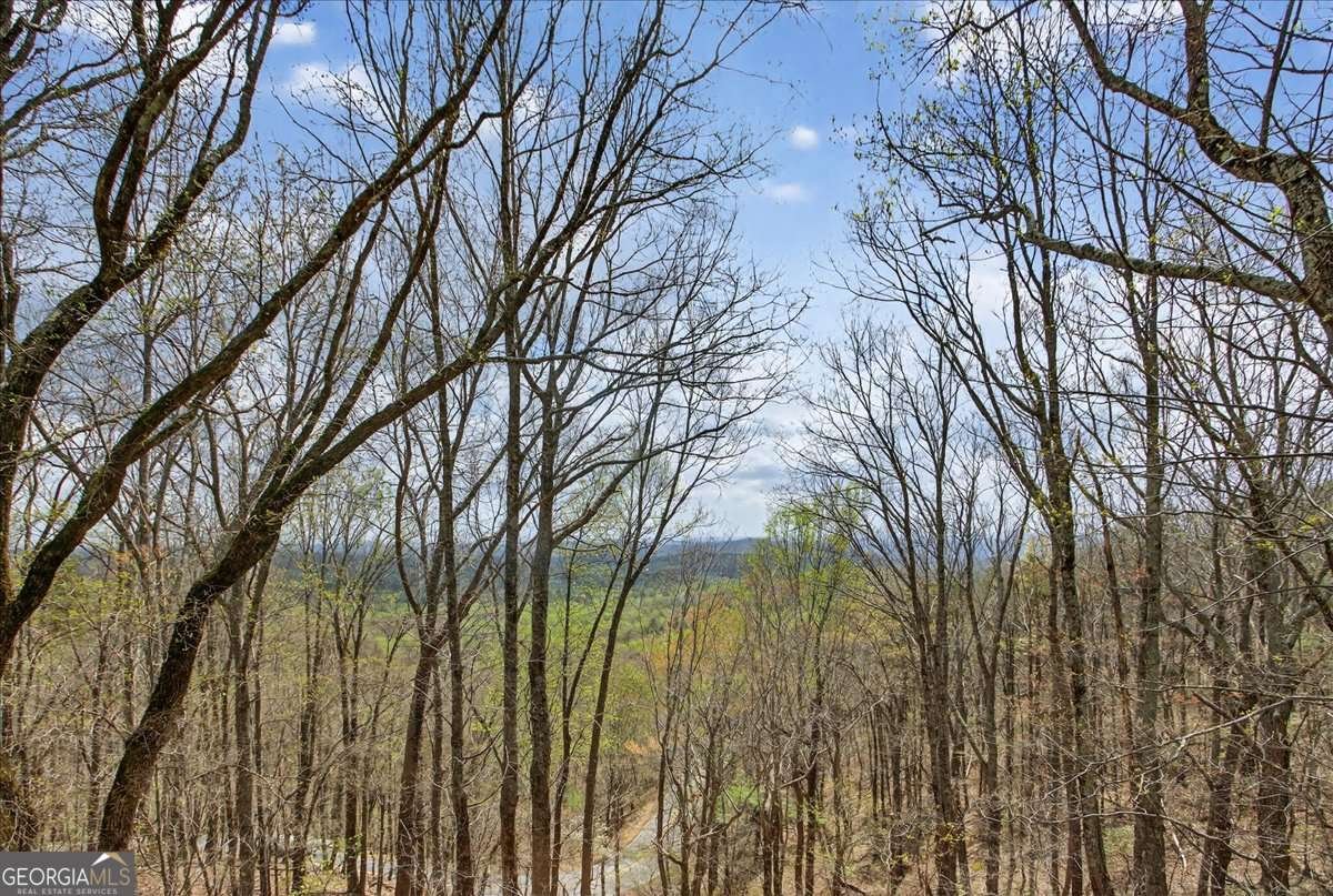 185 Alpine Drive Jasper - Photo 10