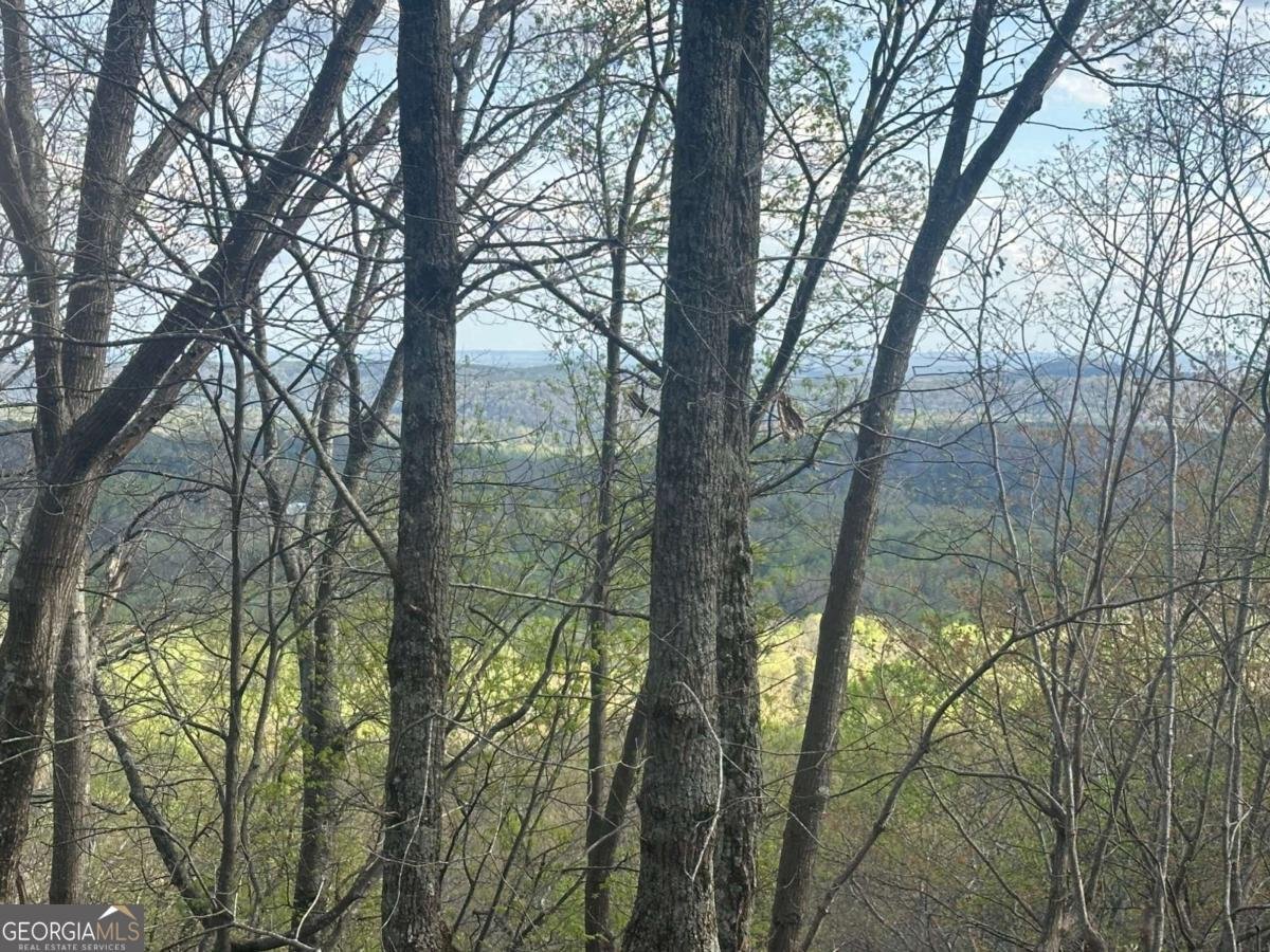 185 Alpine Drive Jasper - Photo 6