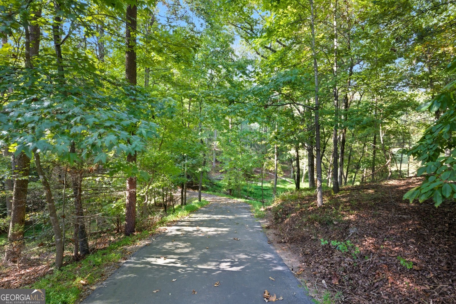 1091 Echota Road Clarkesville - Photo 78