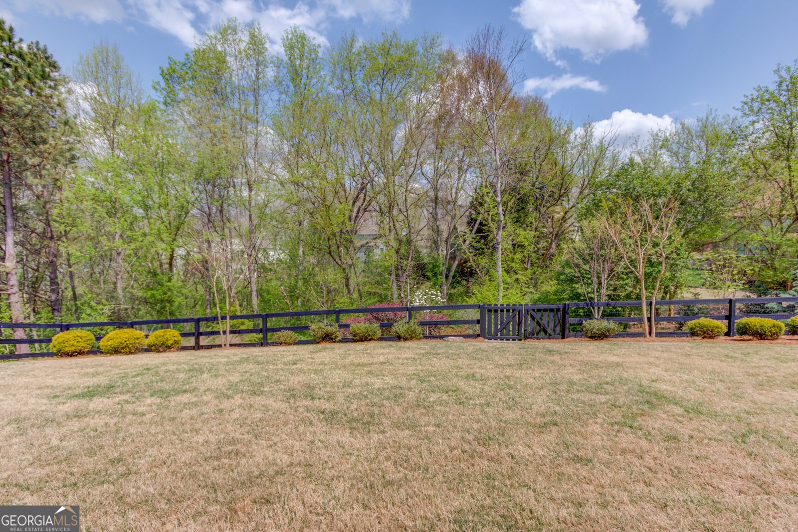 8760 Mica Creek Ball Ground - Photo 53
