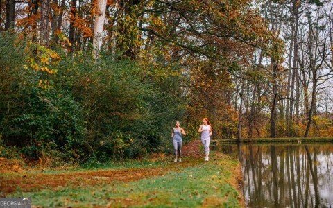 2279 Weeping Oak Drive Braselton - Photo 110
