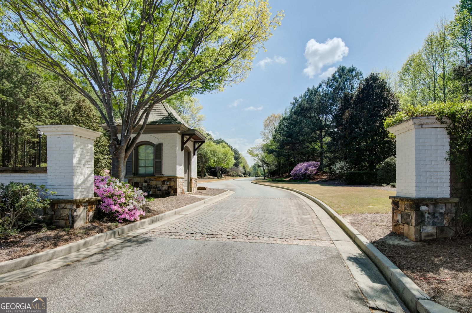 335 Park Haven Lane Tyrone - Photo 43