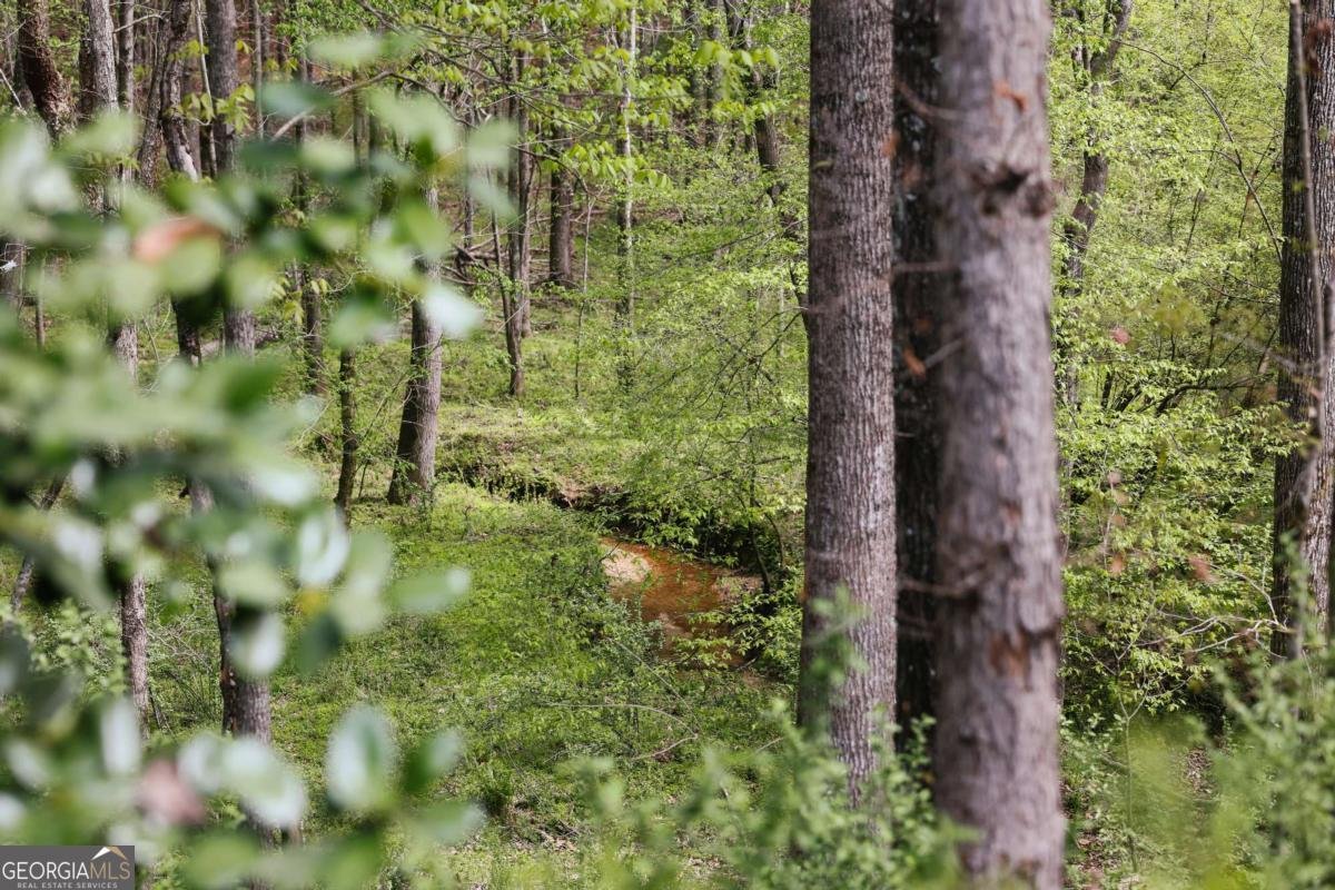 1051 Moss Creek Terrace Watkinsville - Photo 64