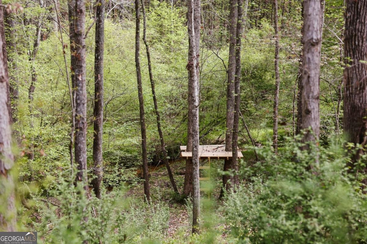 1051 Moss Creek Terrace Watkinsville - Photo 65