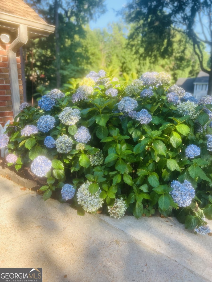 103 Powers Court Lagrange - Photo 38