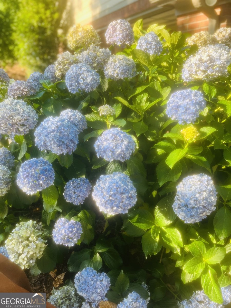 103 Powers Court Lagrange - Photo 39