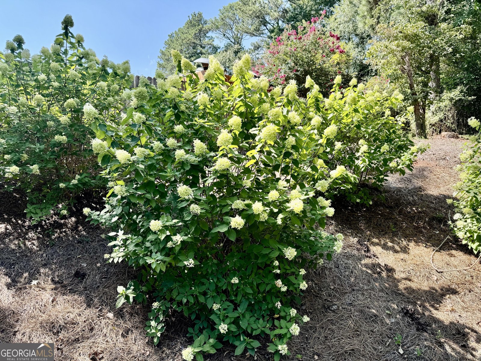 103 Powers Court Lagrange - Photo 40