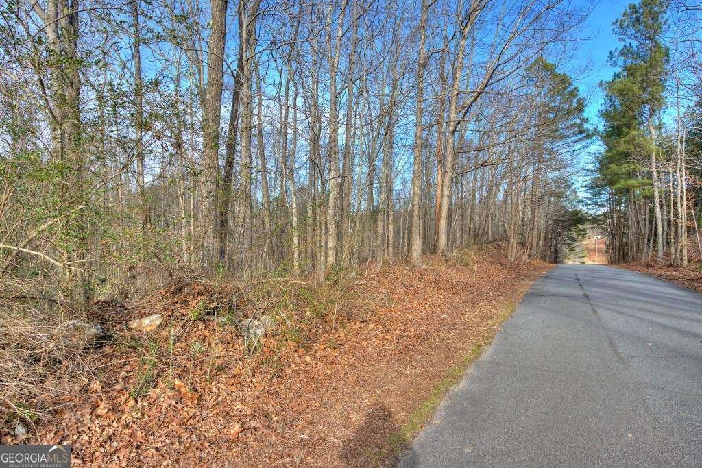 403 Stringer Road Canton - Photo 11