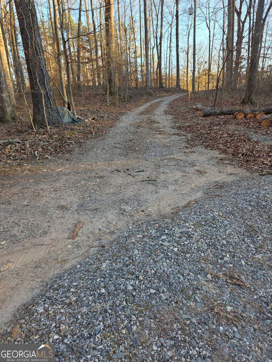 403 Stringer Road Canton - Photo 27