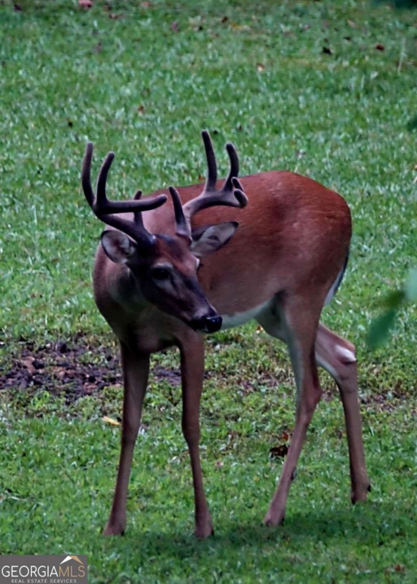 403 Stringer Road Canton - Photo 32