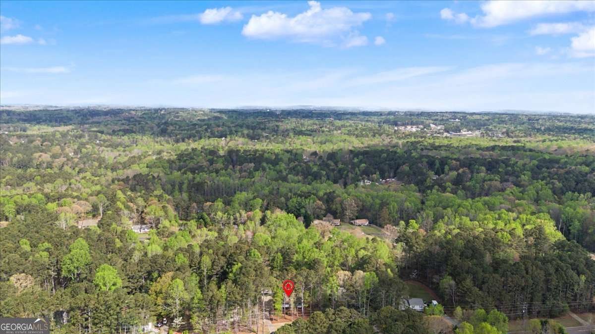 537 Toonigh Road Woodstock - Photo 49