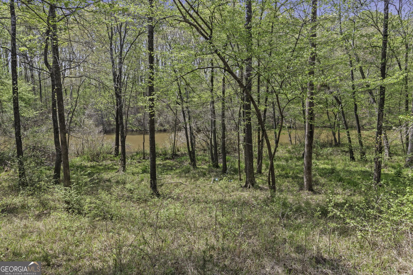 198 Antony Drive Jackson - Photo 31