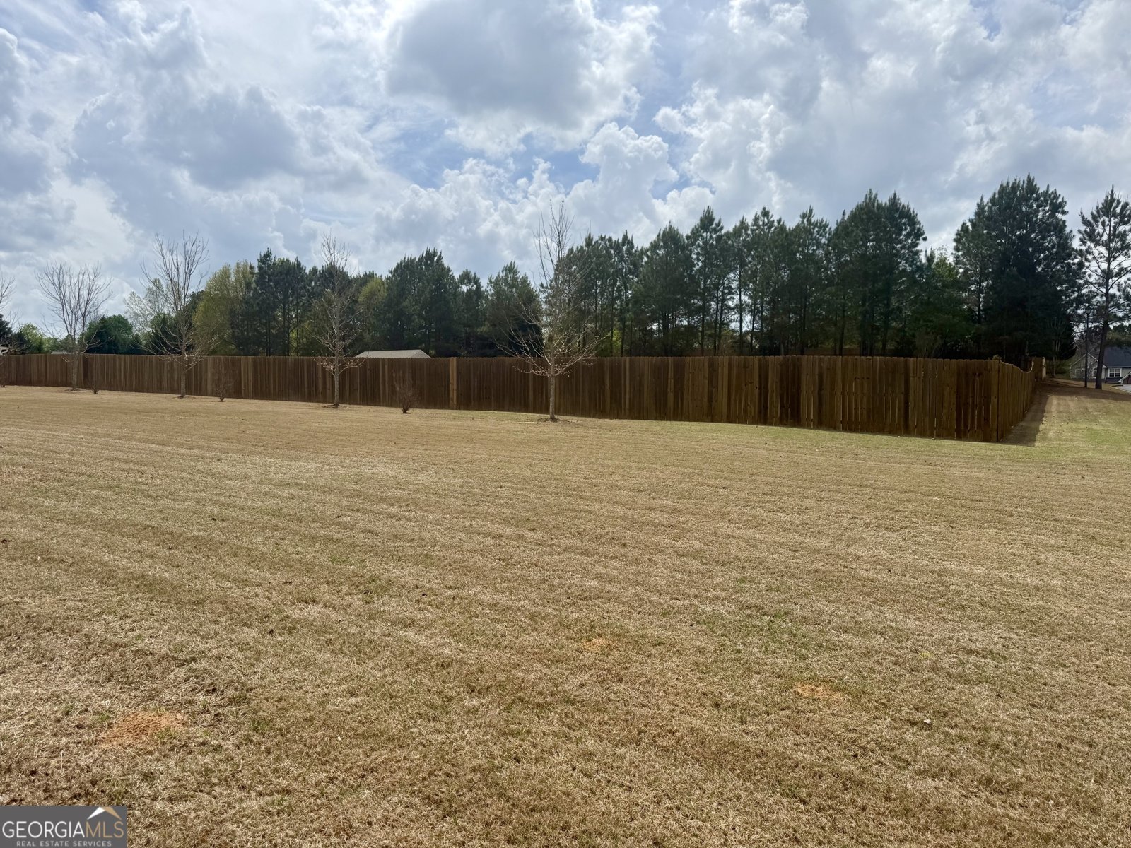 78 Maple Creek Drive Newnan - Photo 6