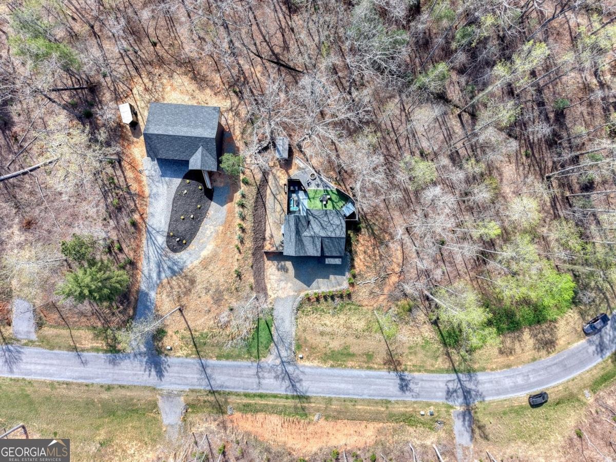 123 Lake Top Lane Ellijay - Photo 47