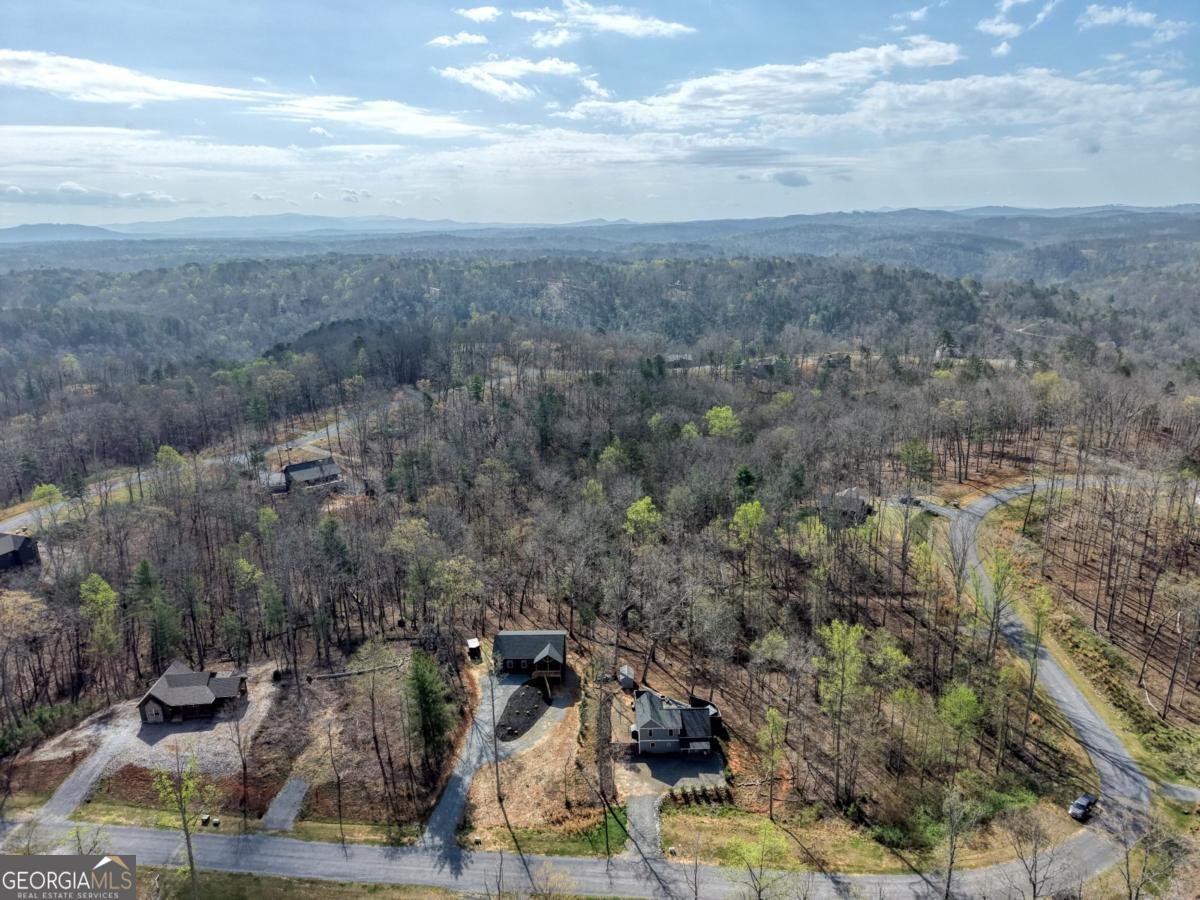 123 Lake Top Lane Ellijay - Photo 48