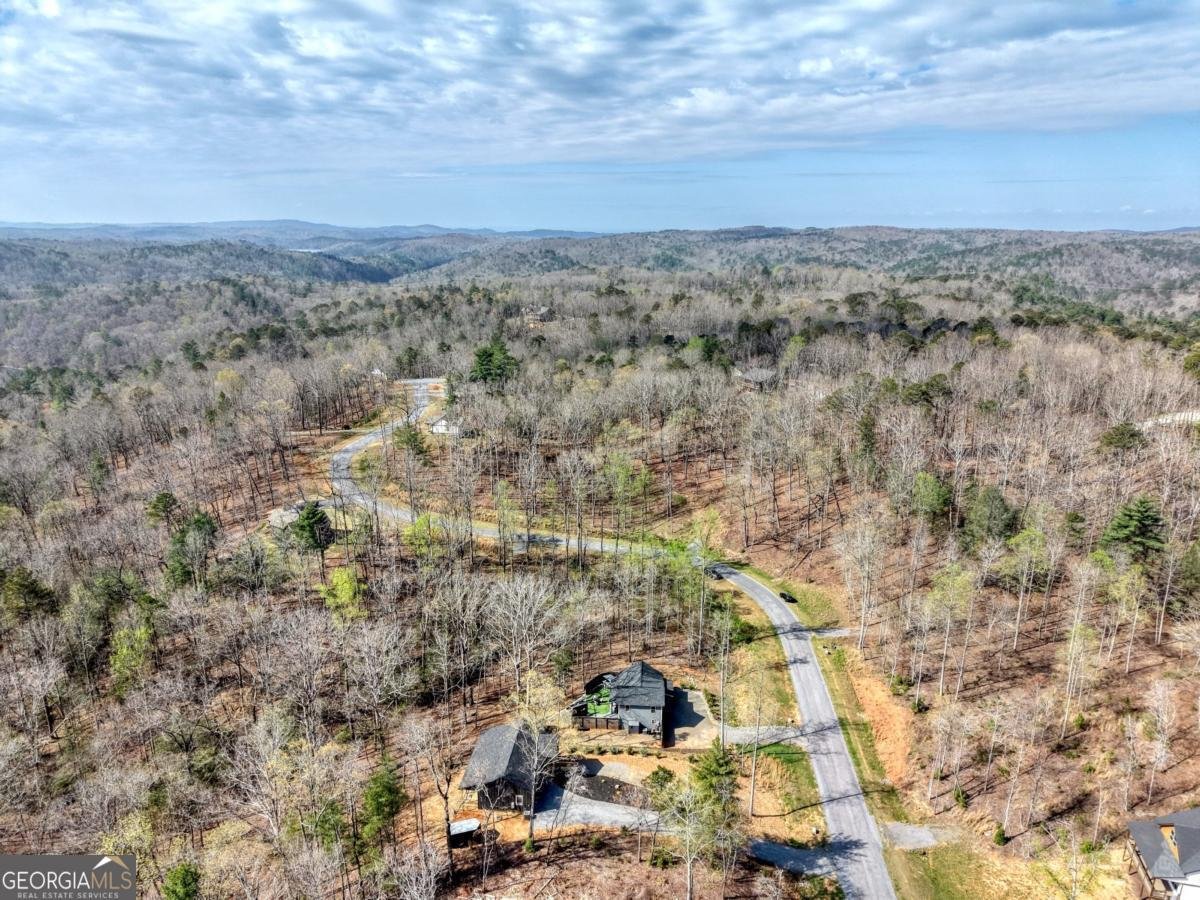 123 Lake Top Lane Ellijay - Photo 50