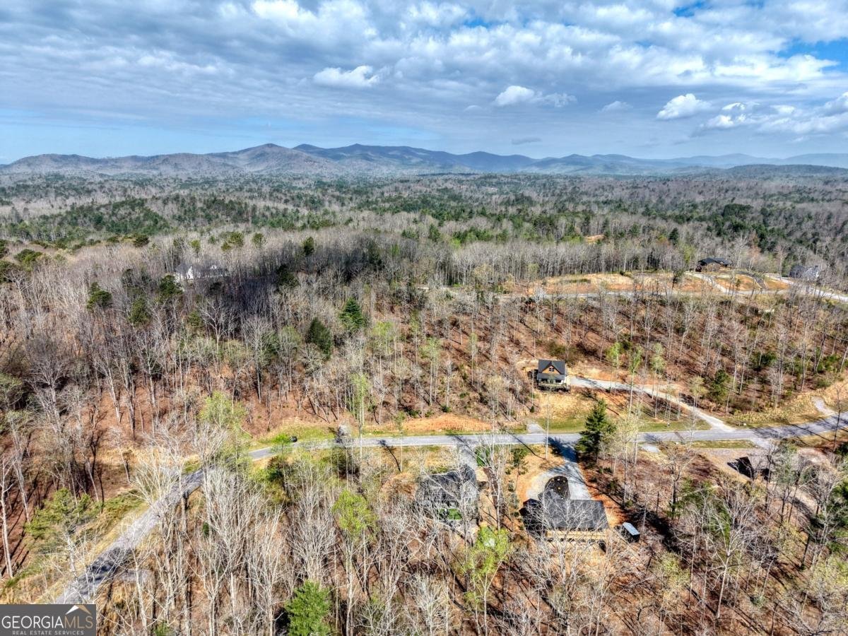 123 Lake Top Lane Ellijay - Photo 51