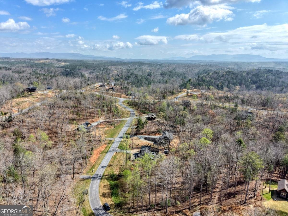 123 Lake Top Lane Ellijay - Photo 52