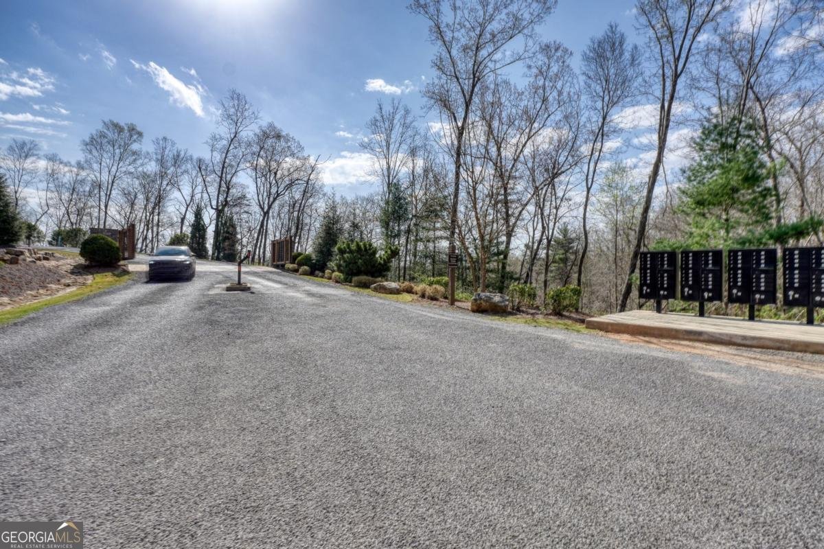 123 Lake Top Lane Ellijay - Photo 53