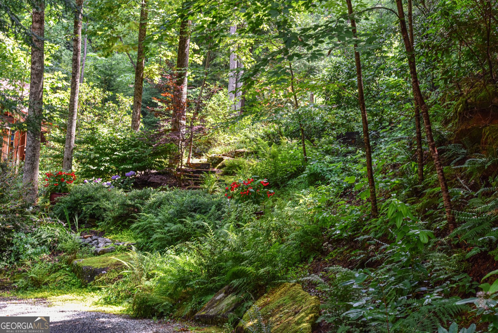 456 Bull Frog Lane Clayton - Photo 69