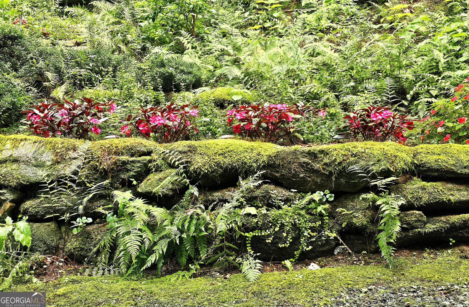 456 Bull Frog Lane Clayton - Photo 77