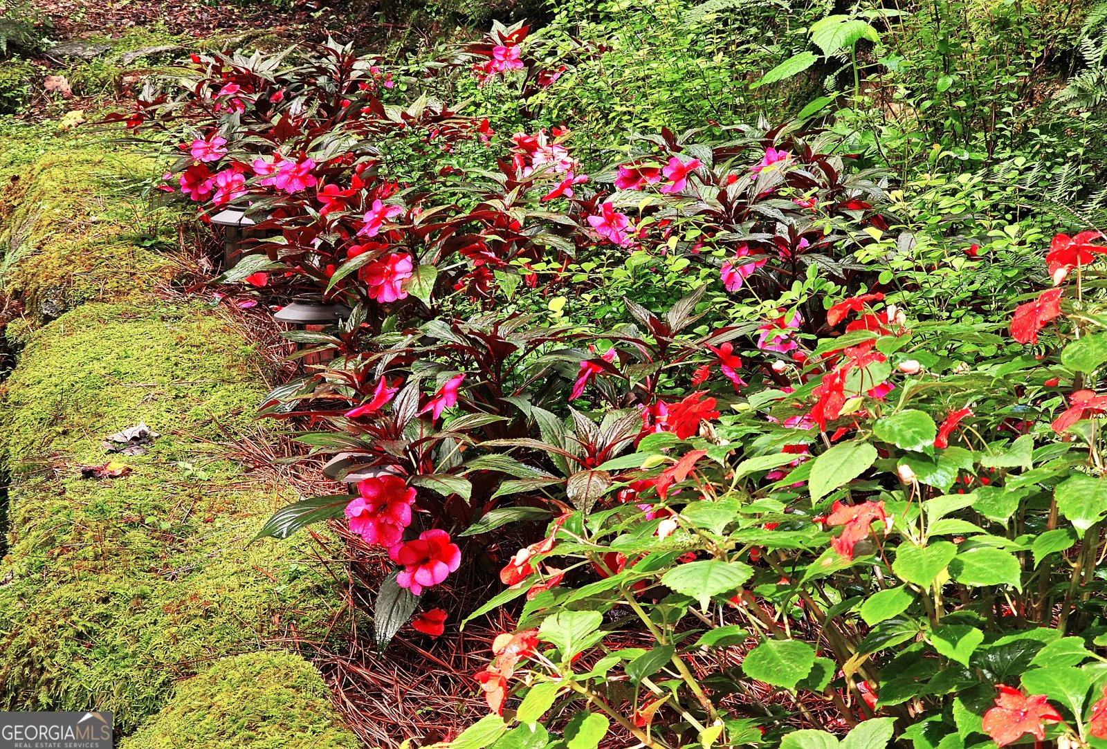 456 Bull Frog Lane Clayton - Photo 78