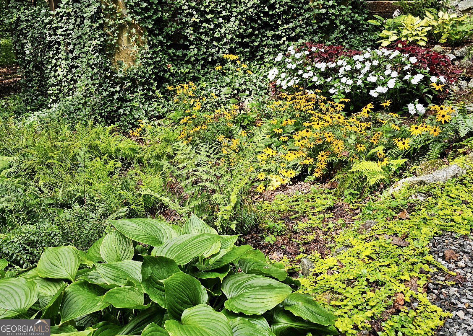 456 Bull Frog Lane Clayton - Photo 79