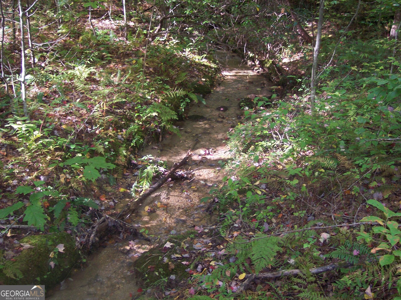 456 Bull Frog Lane Clayton - Photo 80