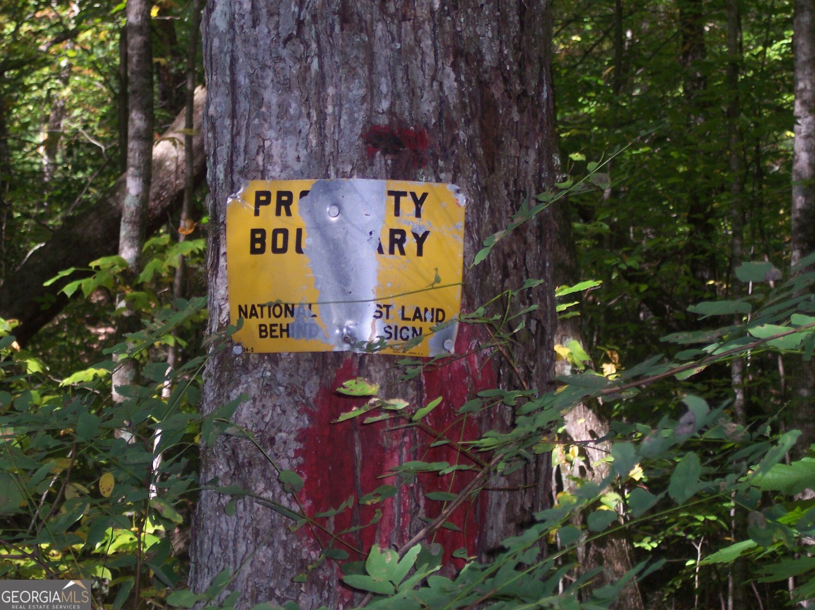 456 Bull Frog Lane Clayton - Photo 81